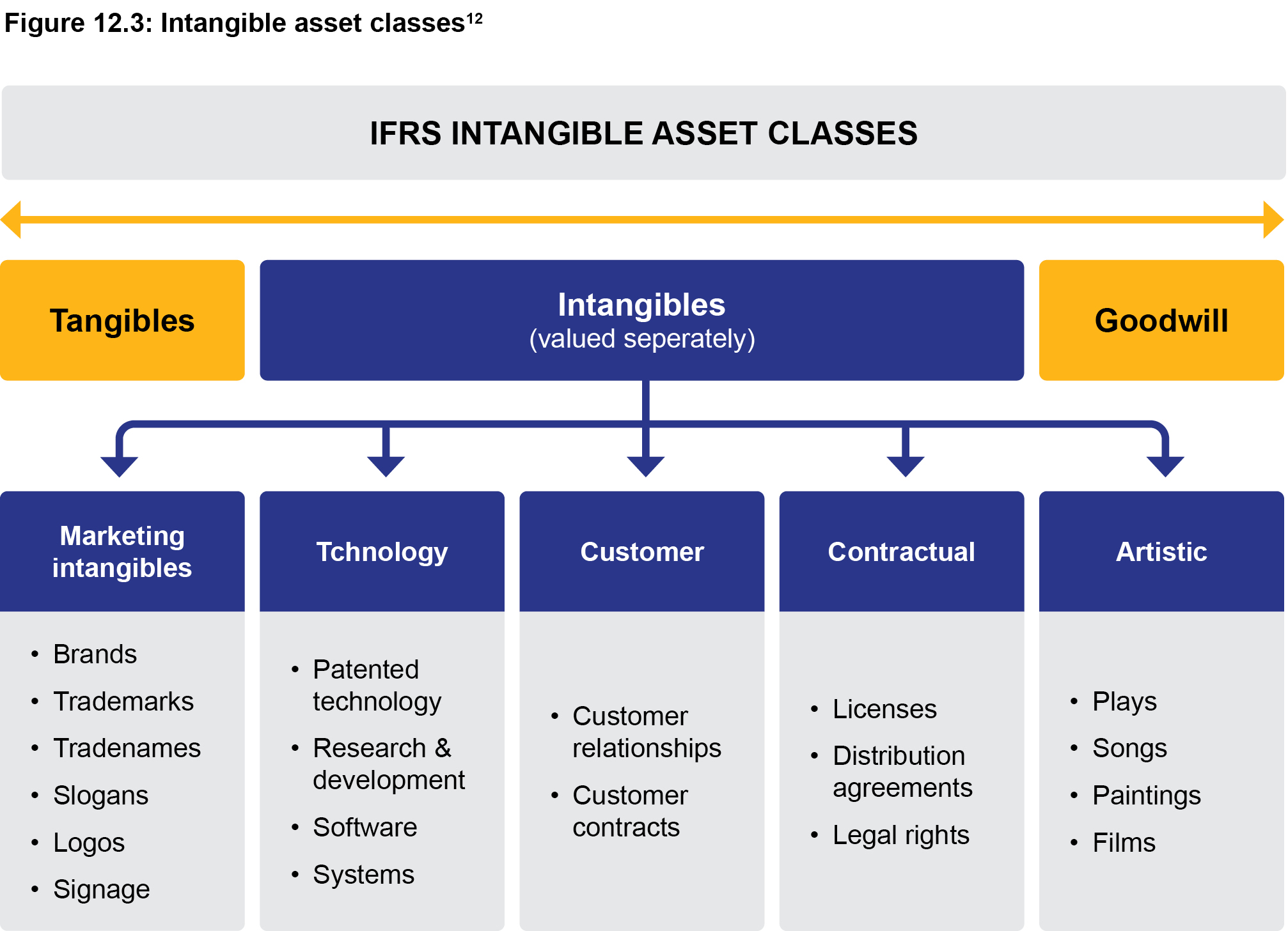 Figure 12.3: Intangible asset classes