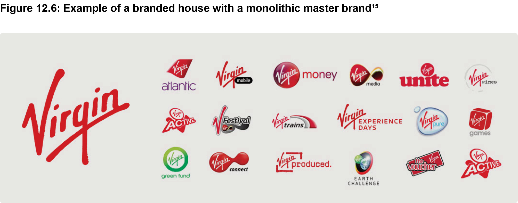 Figure 12.6: Example of a branded house with a monolithic master brand