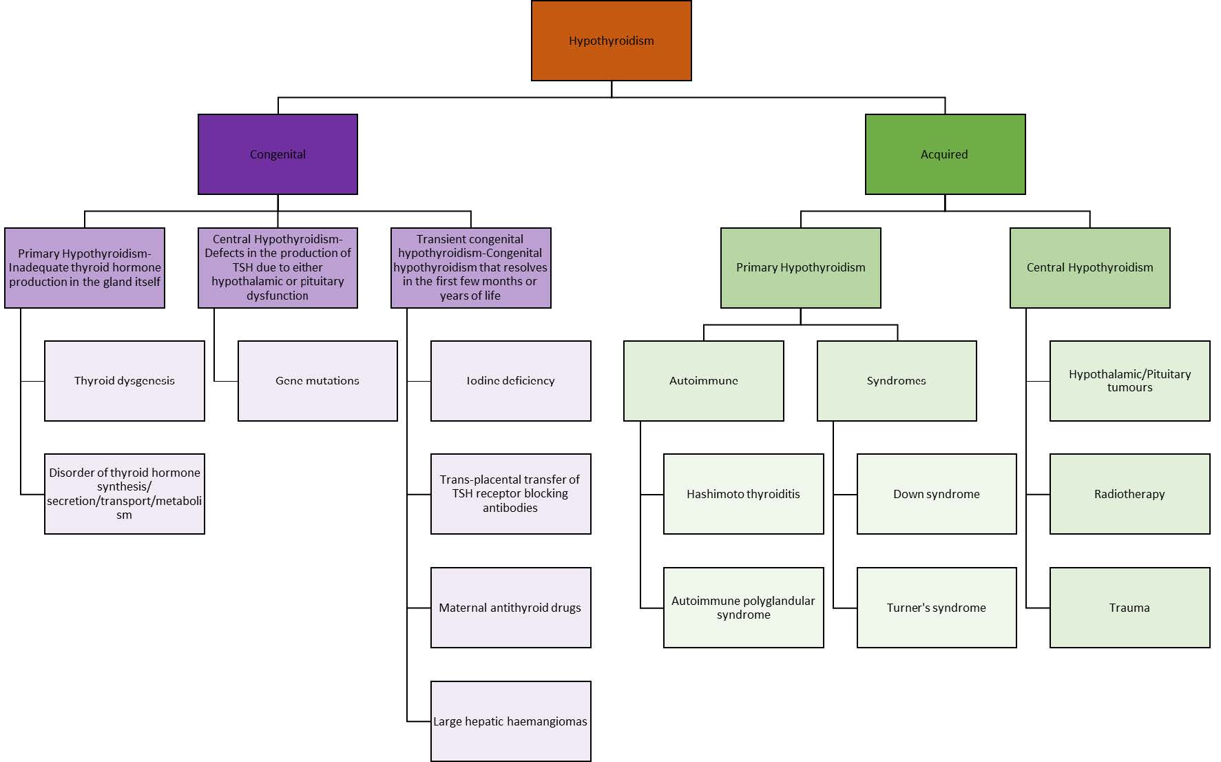 Figure 3.3: Classification of Causes of Hypothyroidism