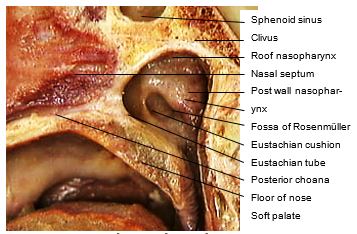 Figure 21