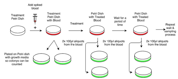 Figure 2: Flowchart of the experimental procedure.