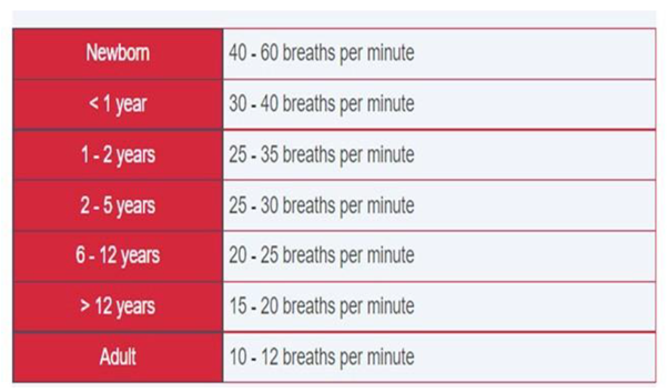 Figure 7: Different breath per minute (BPM)