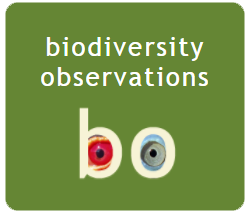 BO Logo